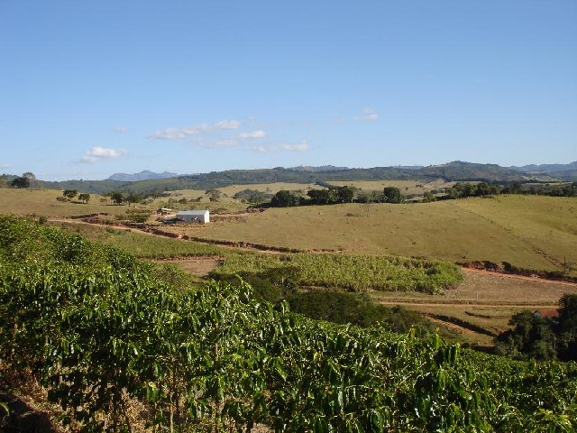 Foto 1 - Fazenda a venda em carmo de minas / mg gado e caf
